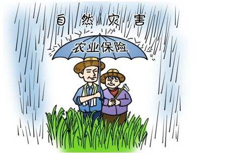 201104189y6u.jpg