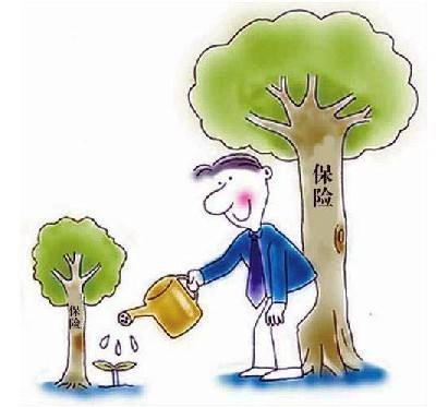 一分钟让你明白商业保险分类 分别是什么