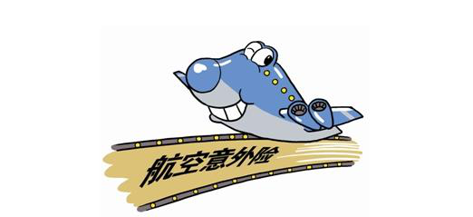 飞机保险多少钱 与飞机相关的保险你知道吗