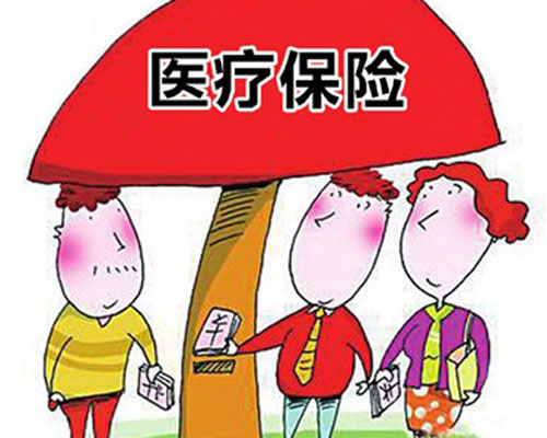 个人社会医疗保险 是否包括大病险