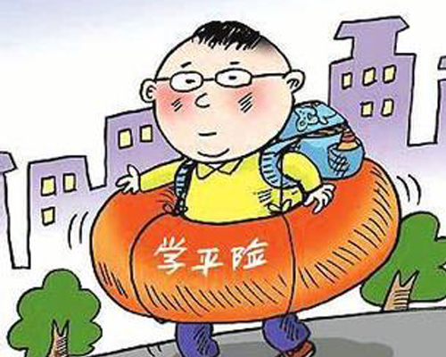 每年多少人投保学平险 具体有哪些注意事项