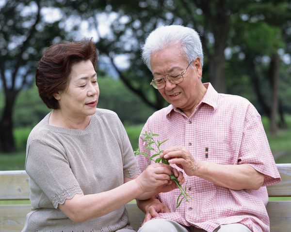 老年人如何买保险 怎么选择最好