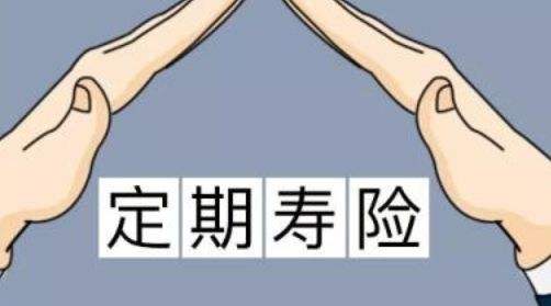 定期寿险,寿险怎么买